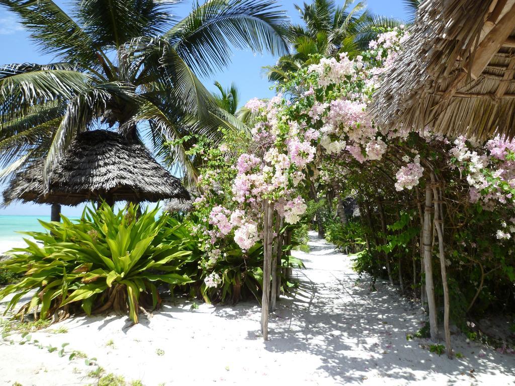 Paradise Beach Bungalows Paje Exterior foto