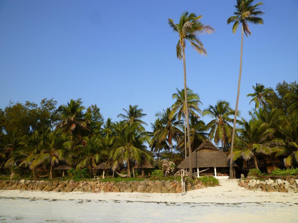 Paradise Beach Bungalows Paje Habitación foto